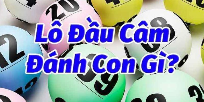 Đầu Lô Câm Đánh Con Gì? Hướng Dẫn Chơi Lô Cho Newbie 